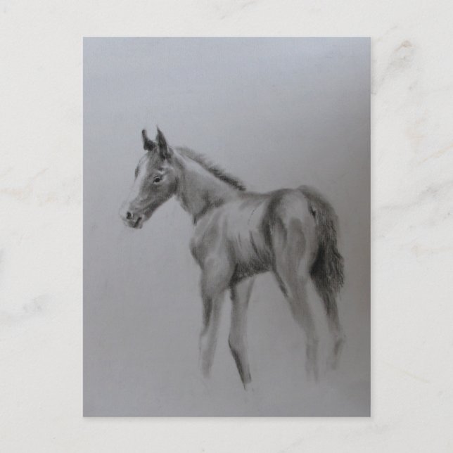 Neues Baby Ankündigungspostkarte (Vorderseite)