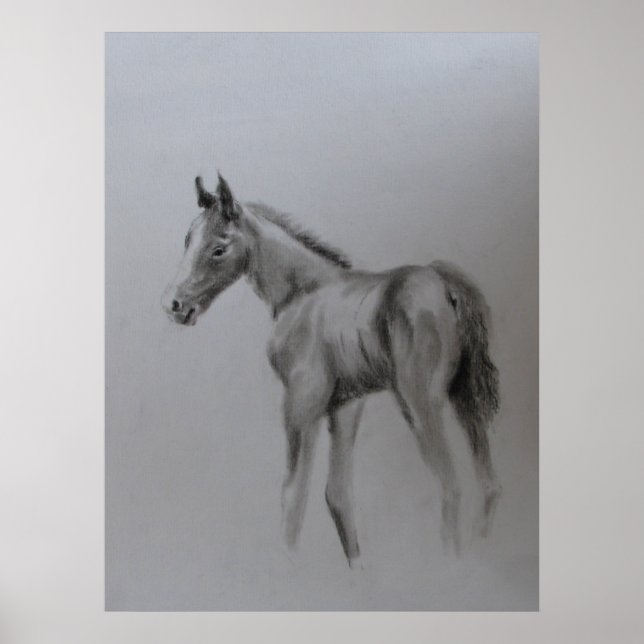 Neues Baby Poster (Vorne)