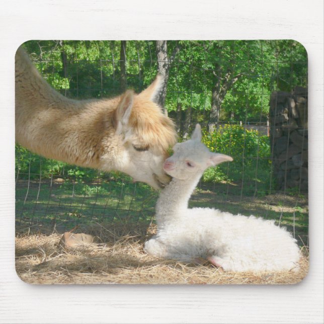 Neues Cria Mousepad (Vorne)