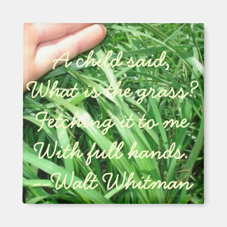 Neues Elternmagnet Set 5 von 5 (verbessert) Magnet