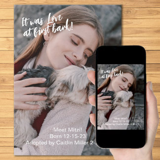 Neues Foto für Haustiere Ankündigung