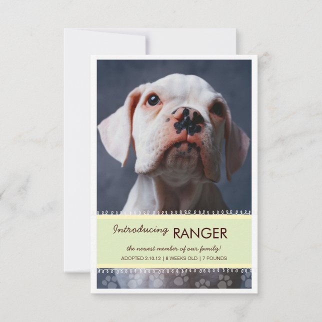 Neues Foto für männliche Grüne Banner Ankündigung (Vorderseite)