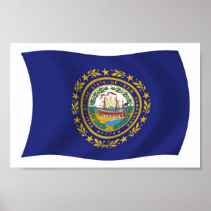 Neues Hampshire Flag Poster Print
