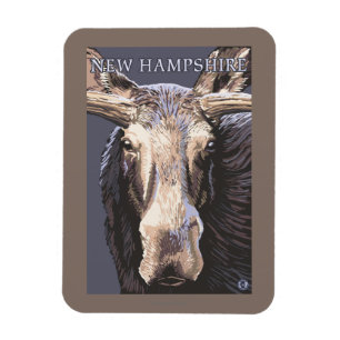 Neues HampshireMoose herauf nahes Magnet