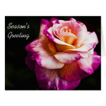 Neues Jahr-Jahreszeit-Gruß-Karten - lila Rose