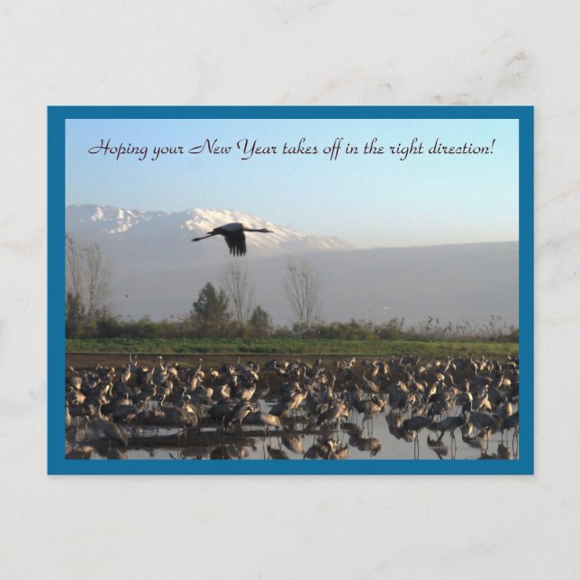 Neues Jahr wohle Postkarte anfangend (Vorderseite)