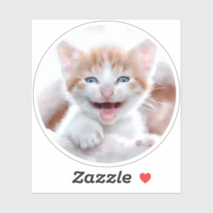 Neues Kitten Circle Shape-Foto Aufkleber