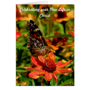 Neues Leben in Christus