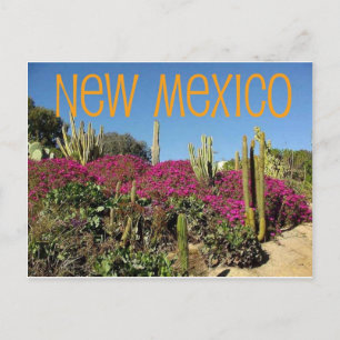 Neues Mexiko Postkarte