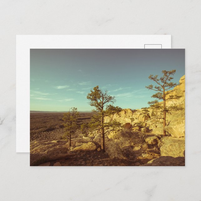 Neues Mexiko Postkarte (Vorne/Hinten)