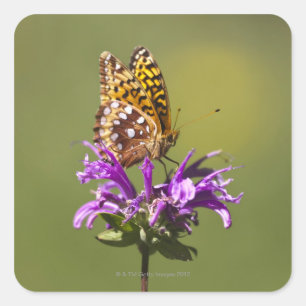 neues Mexiko, USA Quadratischer Aufkleber