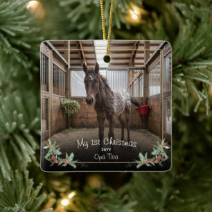 Neues Pferd Erstes Weihnachten Foto Name Jahr Stec Keramikornament