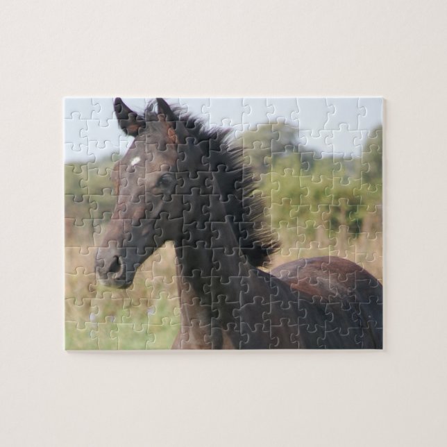 Neues Pferd Puzzle (Horizontal)
