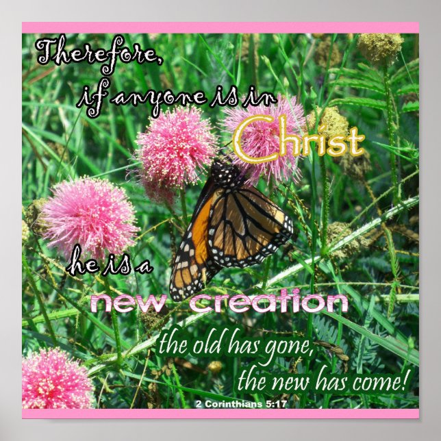 Neues Schöpfungspaket Poster (Vorne)