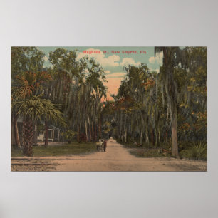 Neues Smyrna, Florida - Ansicht der Magnolie Poster