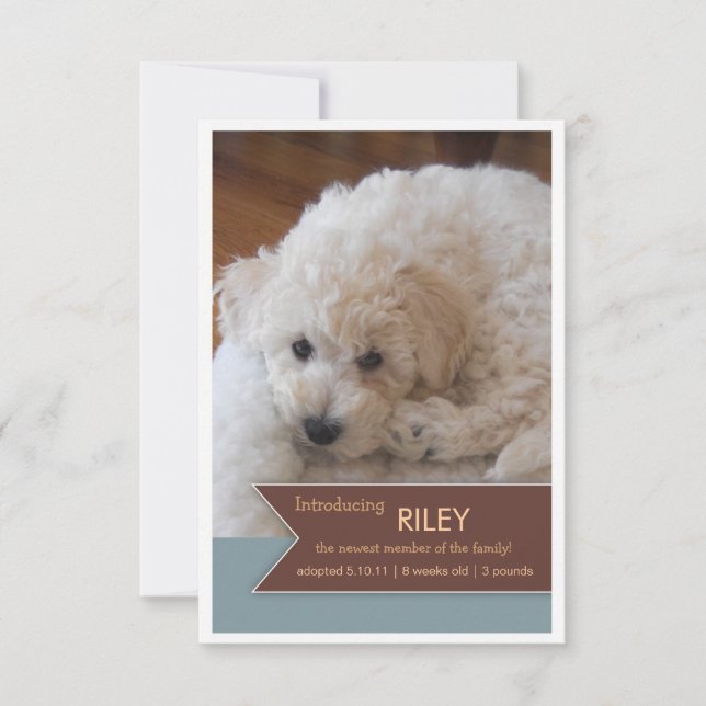 Neues Tier 2 Foto Brown Banner Foto Ankündigung (Vorderseite)