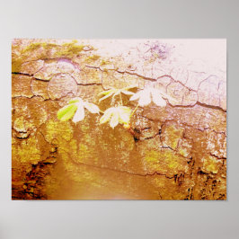 Neues Wachstum auf gefallenem Baumstamm Poster