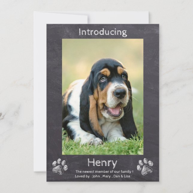 Neues Welpe - Welpe-Hund-Halbpension-Welpe Ankündigung (Vorderseite)