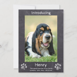 Neues Welpe - Welpe-Hund-Halbpension-Welpe Ankündigung