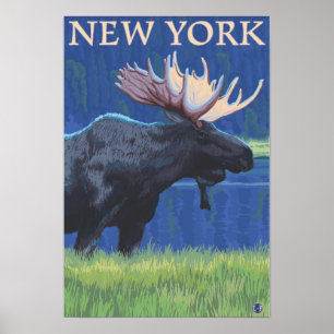 Neues YorkMoose im Mondschein Poster