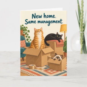 Neues Zuhause, gleiches Management Lustige Katzen Karte