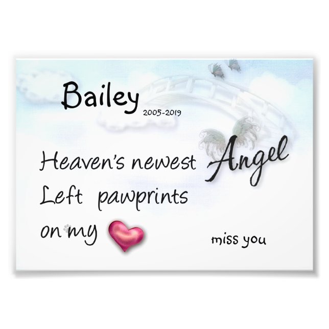 Neuester Angel links Pfotendrucke auf meinem Herzs Fotodruck (Vorne)