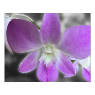 Neuformatierung des Fotos Fotodruck