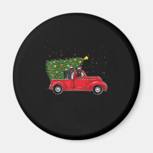 Neufundland auf rotem Lkw Weihnachtsgeschenk Magnet