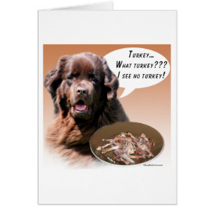 Neufundland (braun) Türkei