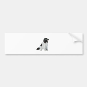 Neufundland (C) - Landseer #1 Autoaufkleber