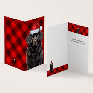 Neufundland Dog Holiday Red Karierte Weihnachtskar