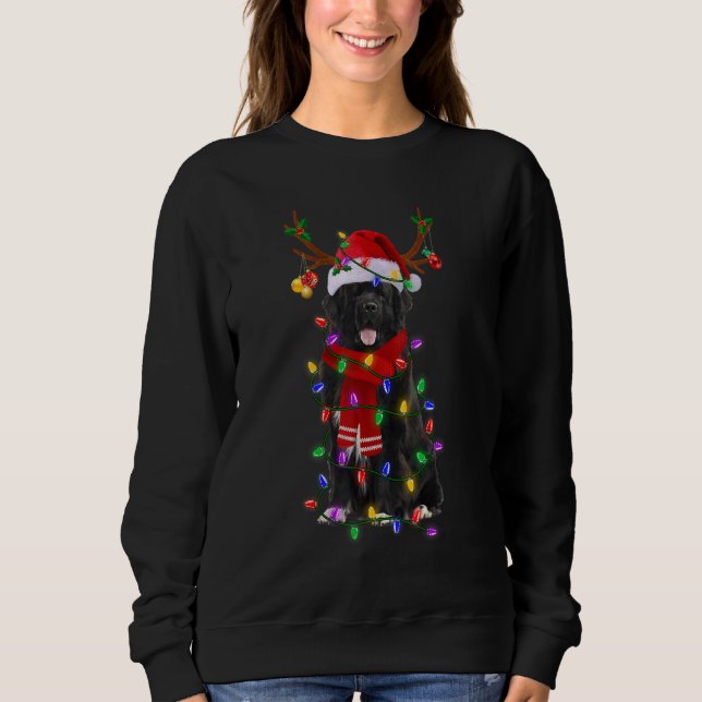 Neufundland Dog Tree Weihnachtsbeleuchtung Xmas Pa Sweatshirt (Vorderseite)