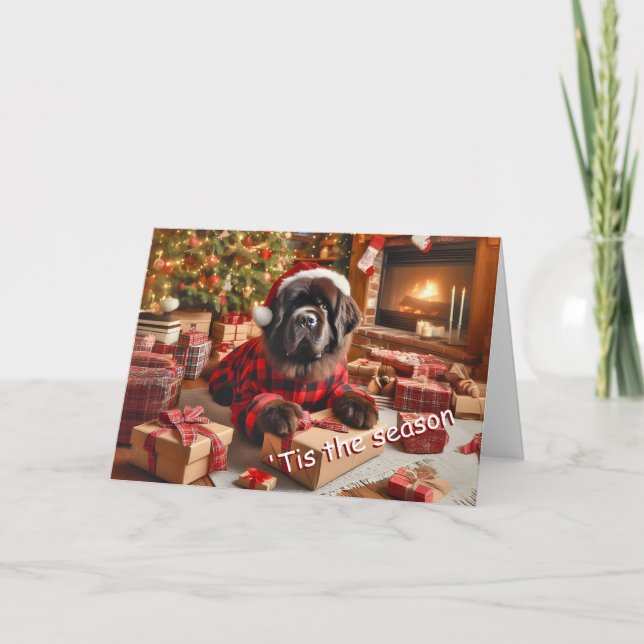 Neufundland Dog Wrapping Geschenke Weihnachtskarte Feiertagskarte (Vorderseite)