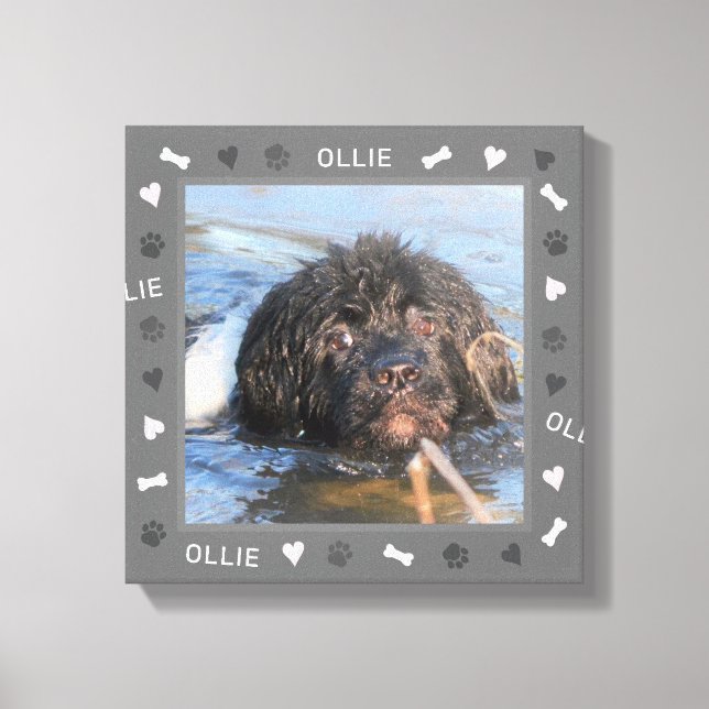 Neufundland - Foto und Name Leinwanddruck (Vorderseite)