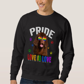 Neufundland Gay Pride Lgbt Rainbow Flag Hund Sweatshirt