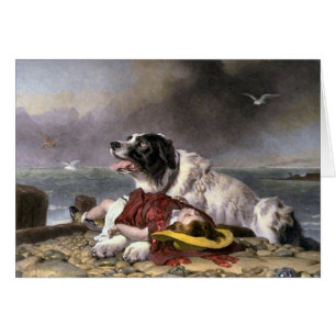 Neufundland Gifts Landseer Gerettet