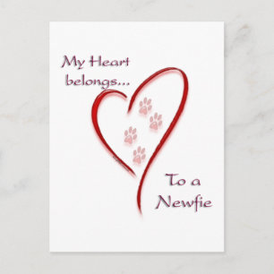 Neufundland Heart Belongs Postkarte