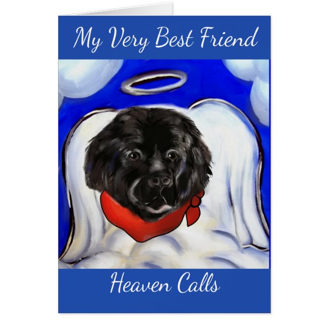 Neufundland-Hund (Vorne)