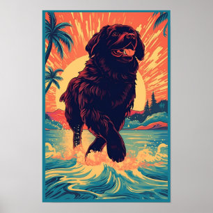 Neufundland-Hund am Strand Poster