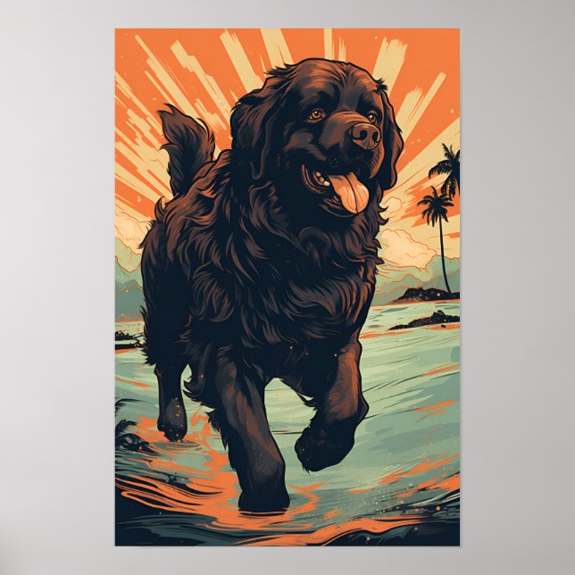Neufundland-Hund am Strand Poster (Vorne)