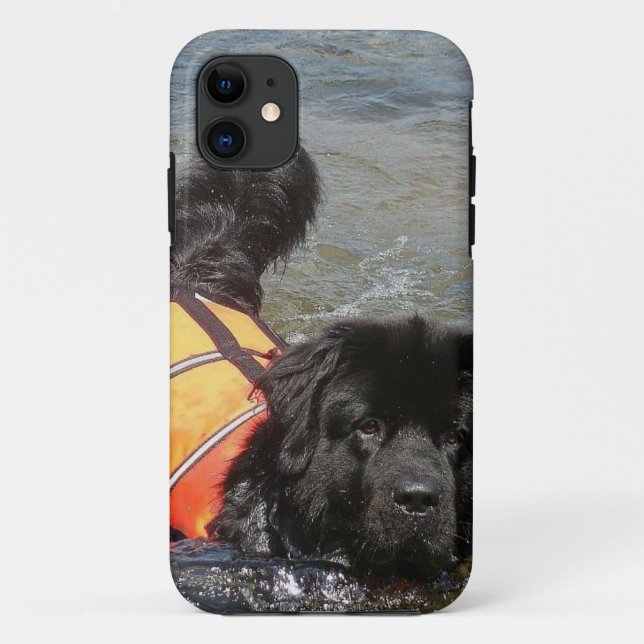 Neufundland-Hund Case-Mate iPhone Hülle (Rückseite)