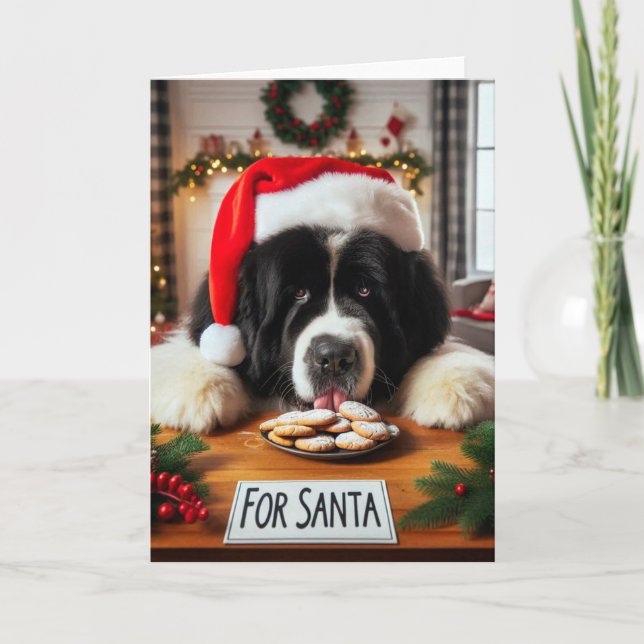 Neufundland Hund Cookie Lick Weihnachtskarte Feiertagskarte (Vorderseite)