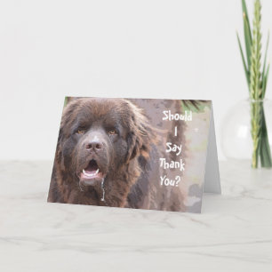Neufundland-Hund danken Ihnen Dankeskarte