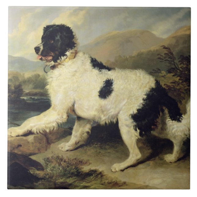 Neufundland Hund genannt Lion, 1824 (Öl auf Leinwa Fliese (Vorderseite)