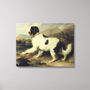 Neufundland Hund genannt Löwe, 1824 (Öl auf Leinwa Leinwanddruck