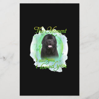 Neufundland-Hund | In dem Moment, in dem ich dich 