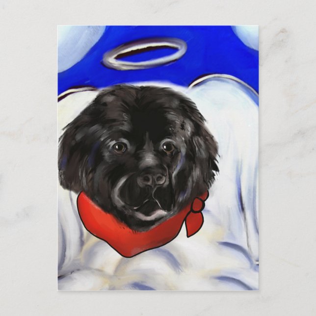 Neufundland-Hund Postkarte (Vorderseite)