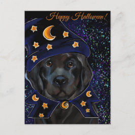 Neufundland-Hund Postkarte