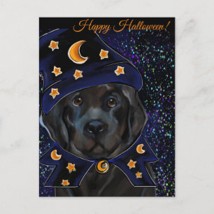 Neufundland-Hund Postkarte