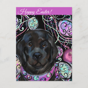 Neufundland-Hund Postkarte